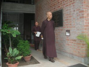 Read more about the article The Passing on of Thich Nhat Hanh